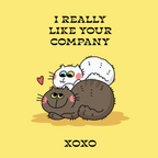 Two cartoon cats hugging with text 'I Really Like Your Company' and 'XOXO' on a yellow background.