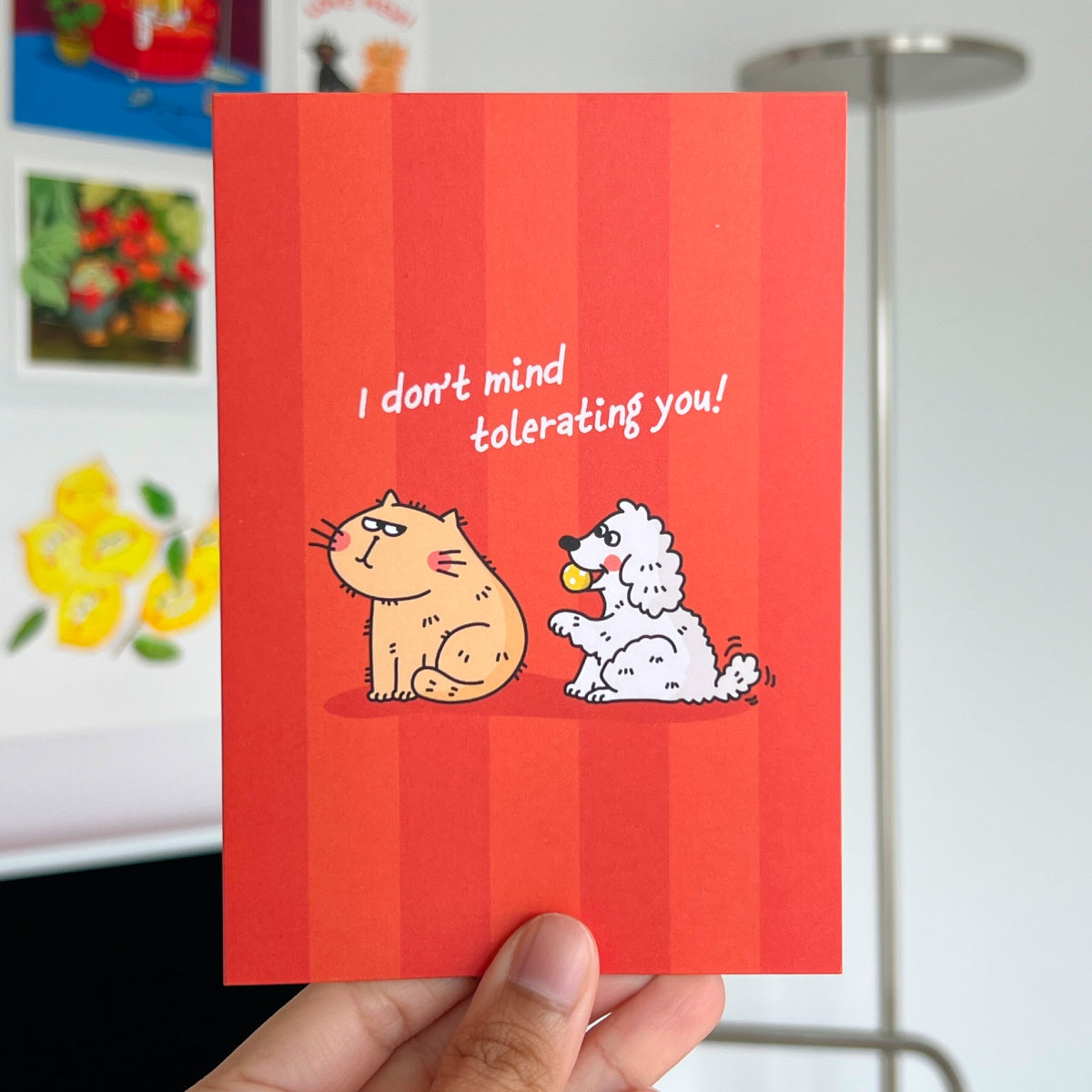 Red striped card with cartoon cat and dog illustration and text 'I don't mind tolerating you!' held by a hand.
